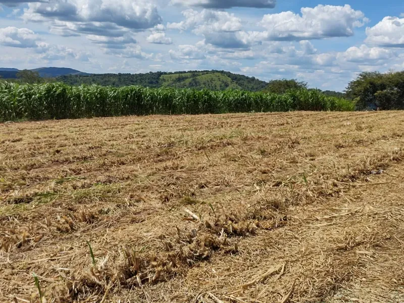 Fazenda em Itapecerica/Minas Gerais — Ref J7UGUJ — Imagem 6