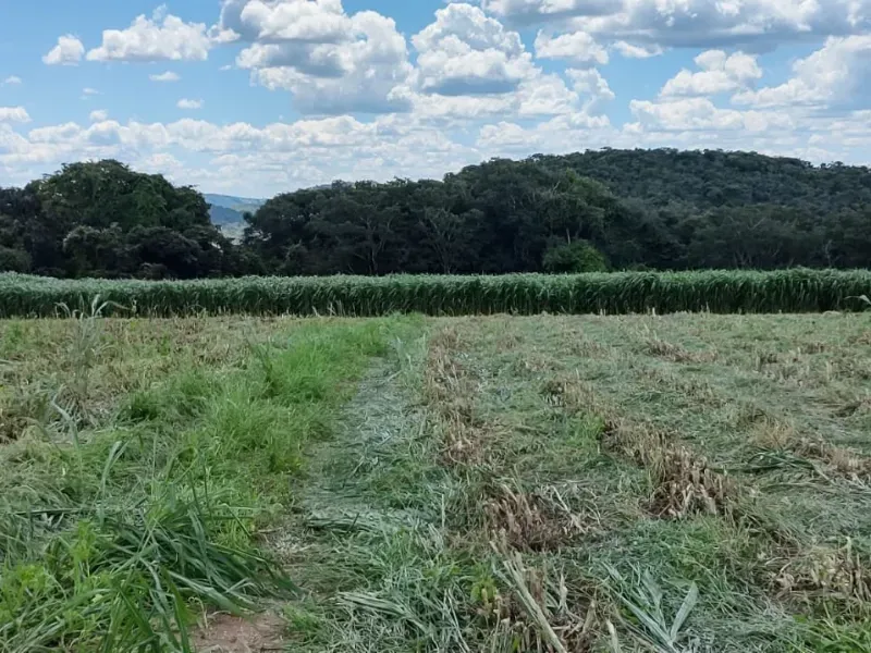 Fazenda em Itapecerica/Minas Gerais — Ref J7UGUJ — Imagem 11