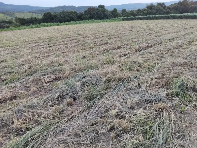 Fazenda em Itapecerica/Minas Gerais — Ref J7UGUJ — Imagem 3