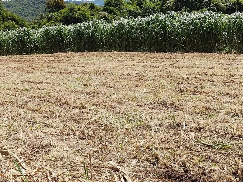 Fazenda em Itapecerica/Minas Gerais — Ref J7UGUJ — Imagem 10