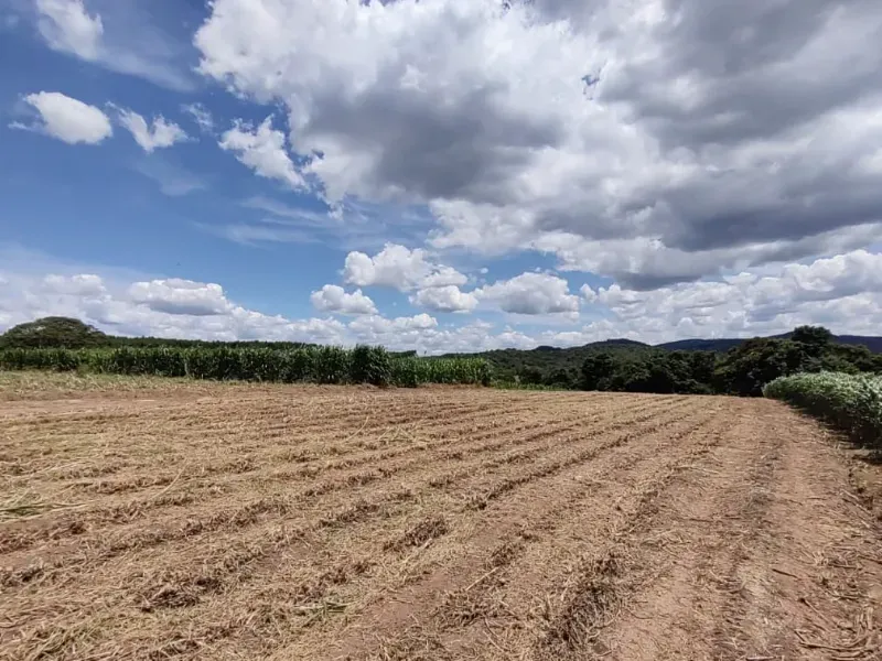 Fazenda em Itapecerica/Minas Gerais — Ref J7UGUJ — Imagem 7