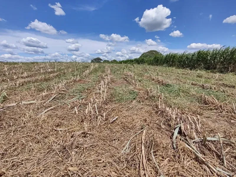 Fazenda em Itapecerica/Minas Gerais — Ref J7UGUJ — Imagem 4