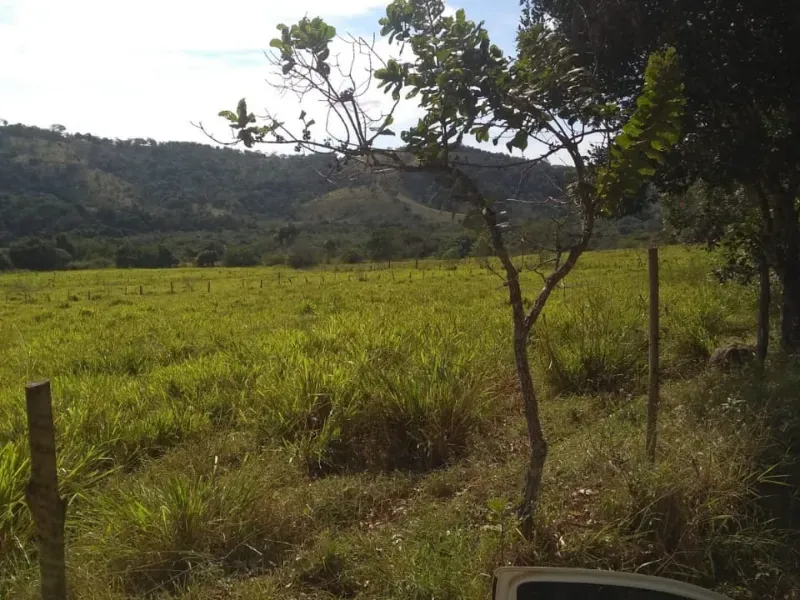 Fazenda em Itapecerica/Minas Gerais — Ref J7UGUJ — Imagem 20
