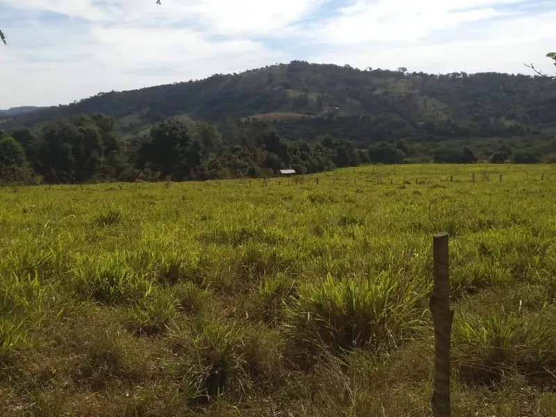 Fazenda em Itapecerica/Minas Gerais — Ref J7UGUJ — Imagem 17