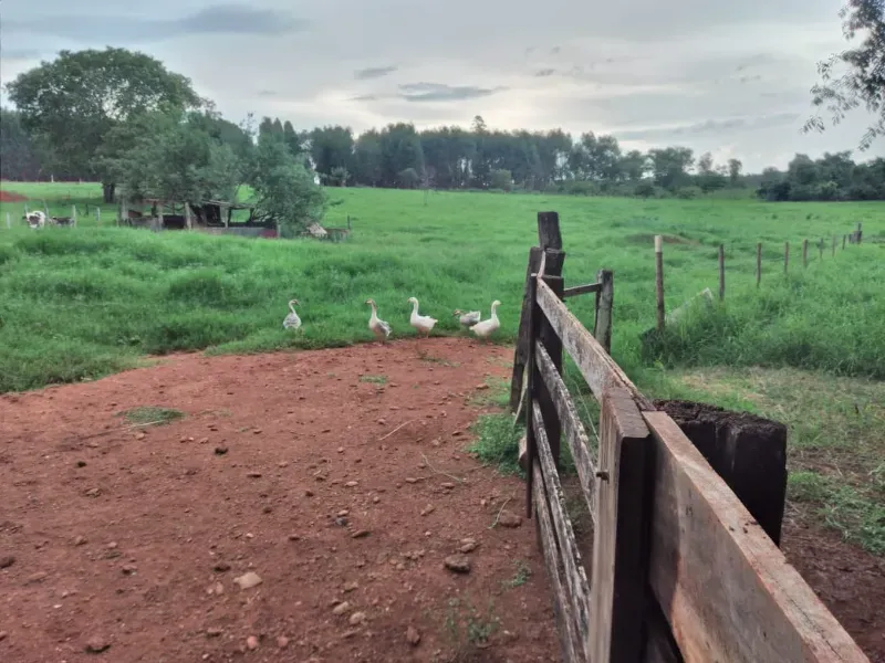 Fazenda em Felixlândia/Minas Gerais — Ref 0UTEWF — Imagem 5