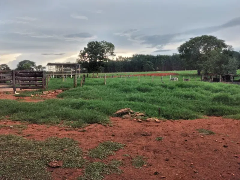 Fazenda em Felixlândia/Minas Gerais — Ref 0UTEWF — Imagem 7