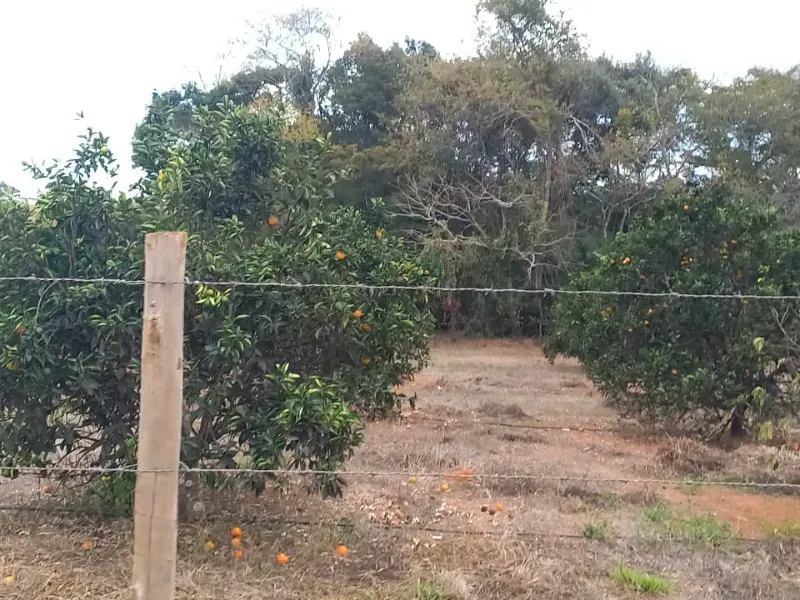 Fazenda em Felixlândia/Minas Gerais — Ref 0UTEWF — Imagem 20