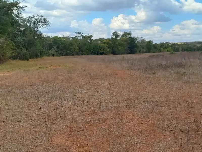Fazenda em Felixlândia/Minas Gerais — Ref 0UTEWF — Imagem 8