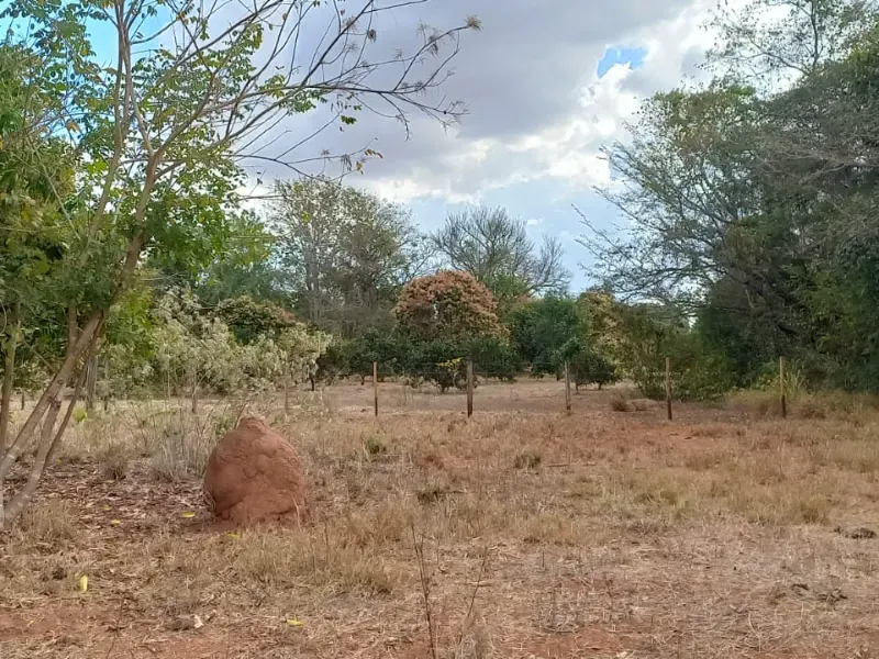 Fazenda em Felixlândia/Minas Gerais — Ref 0UTEWF — Imagem 10