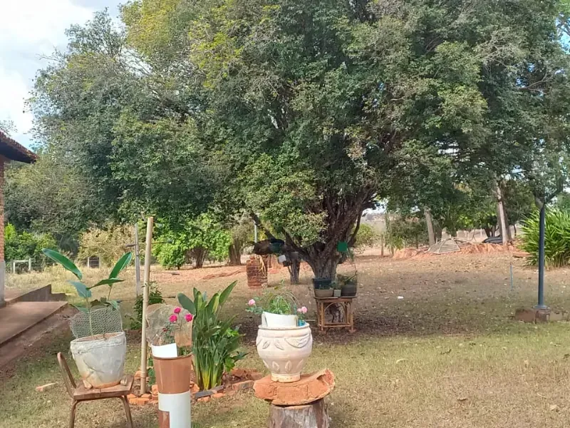 Fazenda em Felixlândia/Minas Gerais — Ref 0UTEWF — Imagem 29