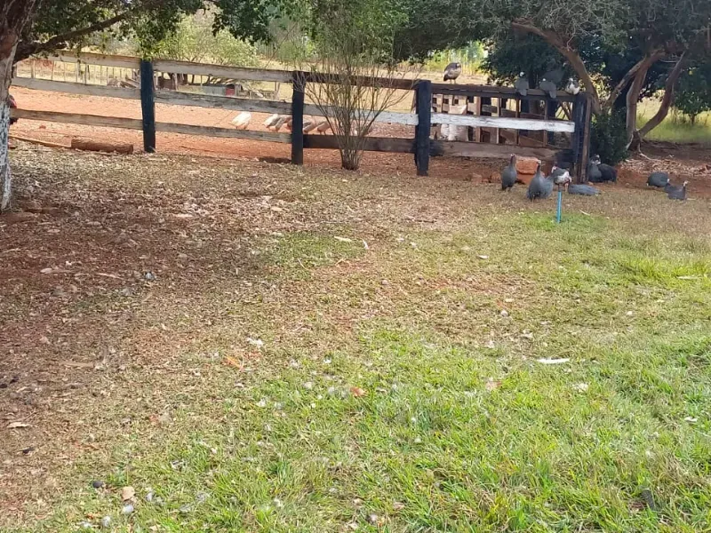 Fazenda em Felixlândia/Minas Gerais — Ref 0UTEWF — Imagem 31