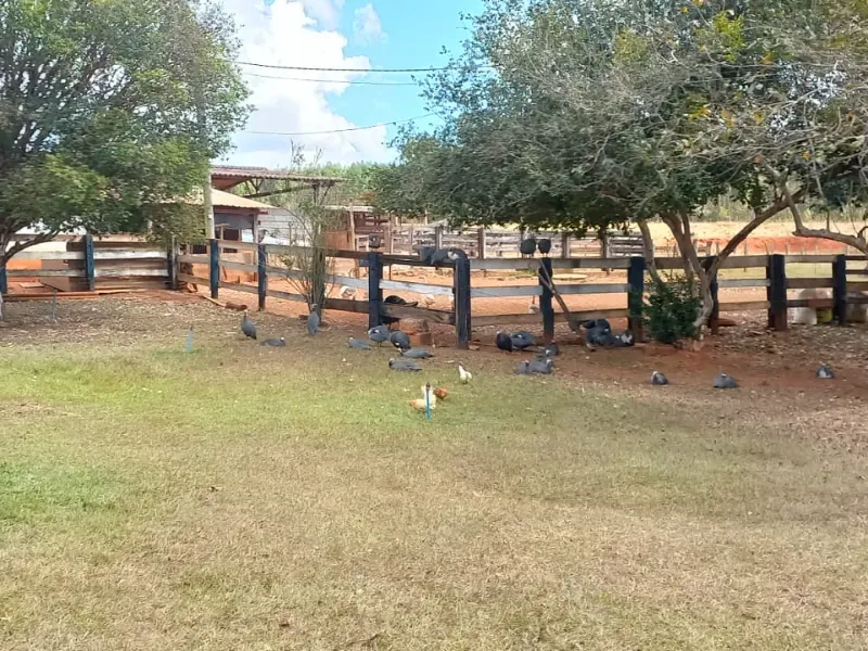 Fazenda em Felixlândia/Minas Gerais — Ref 0UTEWF — Imagem 32