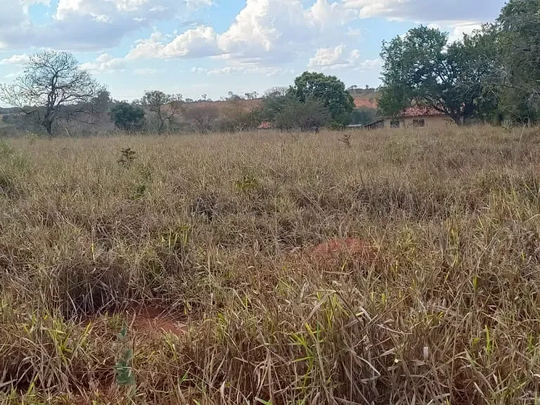 Fazenda em Felixlândia/Minas Gerais — Ref 0UTEWF — Imagem 12