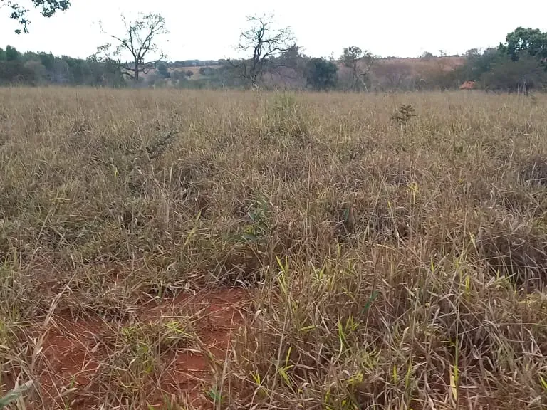 Fazenda em Felixlândia/Minas Gerais — Ref 0UTEWF — Imagem 35