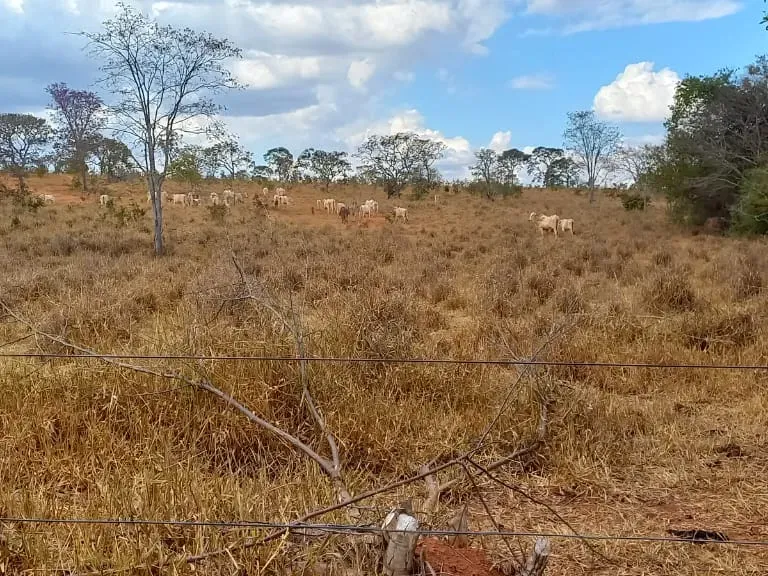 Fazenda em Felixlândia/Minas Gerais — Ref 0UTEWF — Imagem 13