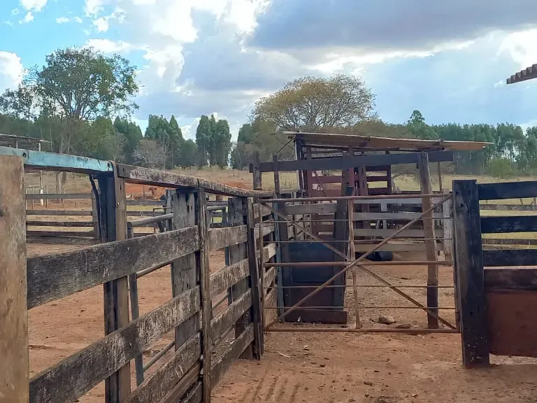 Fazenda em Felixlândia/Minas Gerais — Ref 0UTEWF — Imagem 30