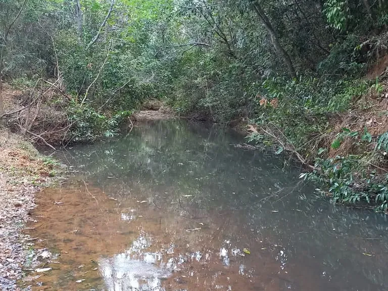 Fazenda em Felixlândia/Minas Gerais — Ref 0UTEWF — Imagem 17