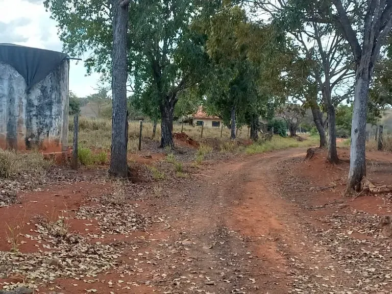Fazenda em Felixlândia/Minas Gerais — Ref 0UTEWF — Imagem 38