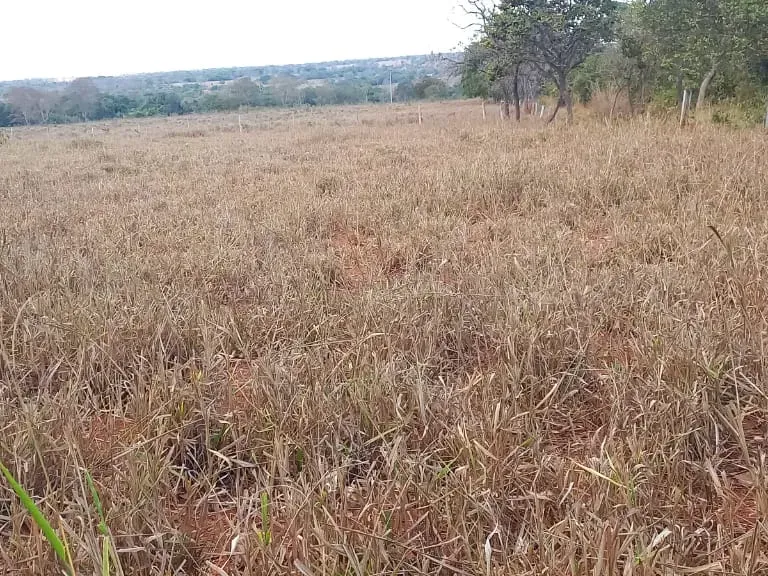 Fazenda em Felixlândia/Minas Gerais — Ref 0UTEWF — Imagem 41