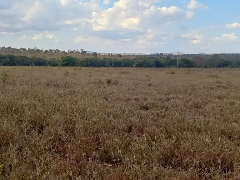 Fazenda em Felixlândia/Minas Gerais — Ref 0UTEWF — Imagem 3