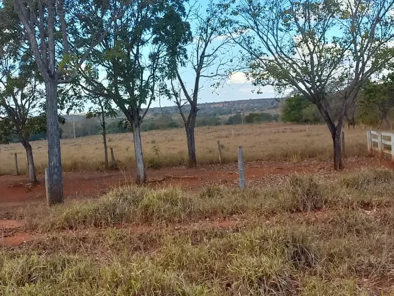 Fazenda em Felixlândia/Minas Gerais — Ref 0UTEWF — Imagem 43