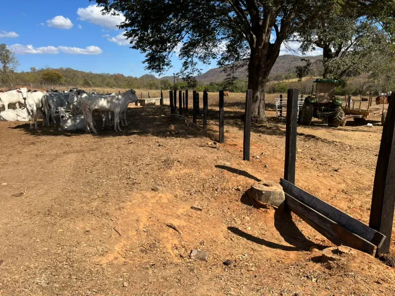 Fazenda em Lassance/Minas Gerais — Ref 0HCKDB — Imagem 13