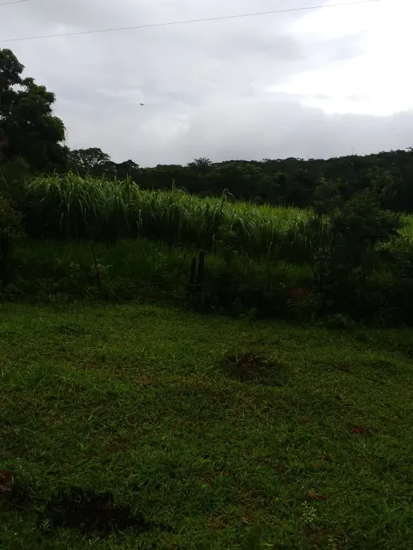 Fazenda em Felixlândia/Minas Gerais — Ref QRHQRF — Imagem 17