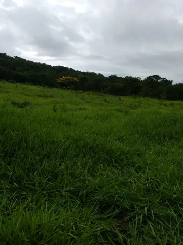 Fazenda em Felixlândia/Minas Gerais — Ref QRHQRF — Imagem 2