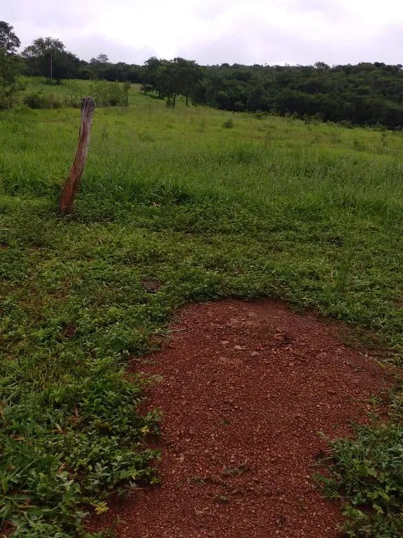Fazenda em Felixlândia/Minas Gerais — Ref QRHQRF — Imagem 19