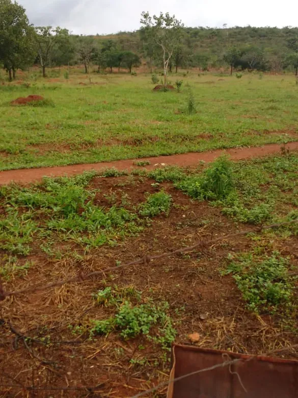 Fazenda em Felixlândia/Minas Gerais — Ref QRHQRF — Imagem 11