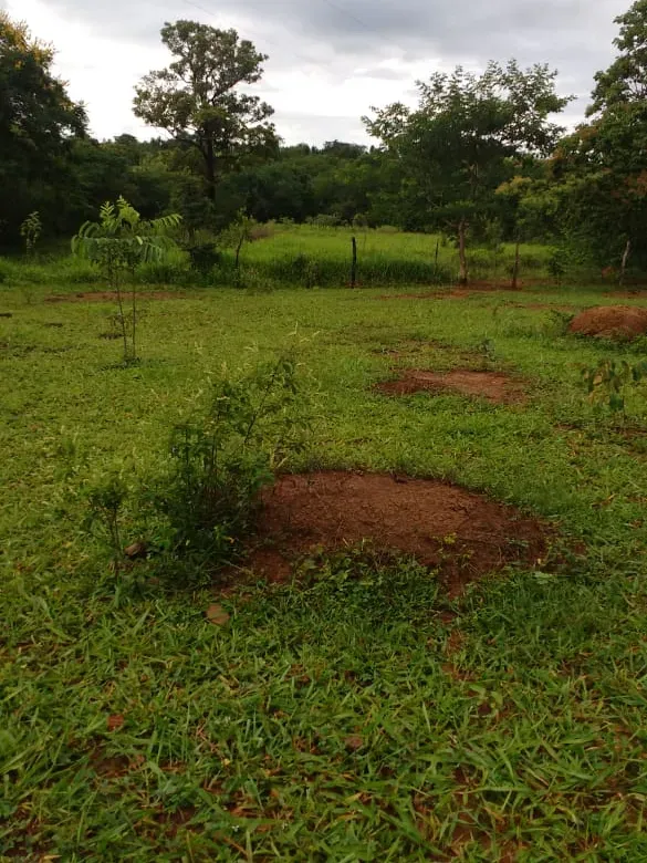 Fazenda em Felixlândia/Minas Gerais — Ref QRHQRF — Imagem 20