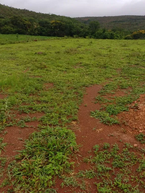Fazenda em Felixlândia/Minas Gerais — Ref QRHQRF — Imagem 21