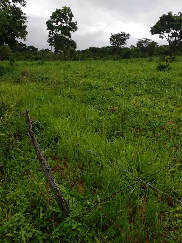 Fazenda em Felixlândia/Minas Gerais — Ref QRHQRF — Imagem 16