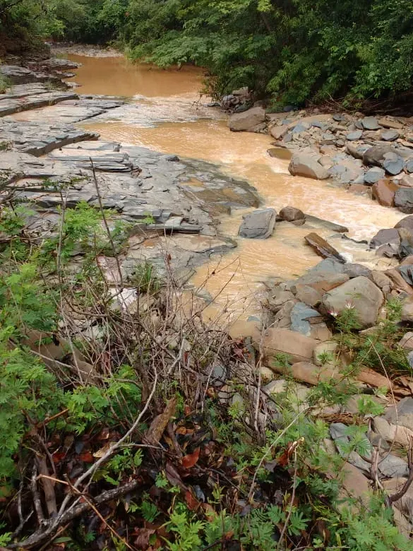 Fazenda em Felixlândia/Minas Gerais — Ref QRHQRF — Imagem 4