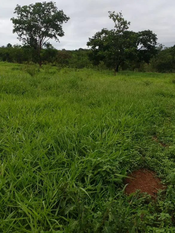 Fazenda em Bom Sucesso/Minas Gerais — Ref OMBOHS — Imagem 21