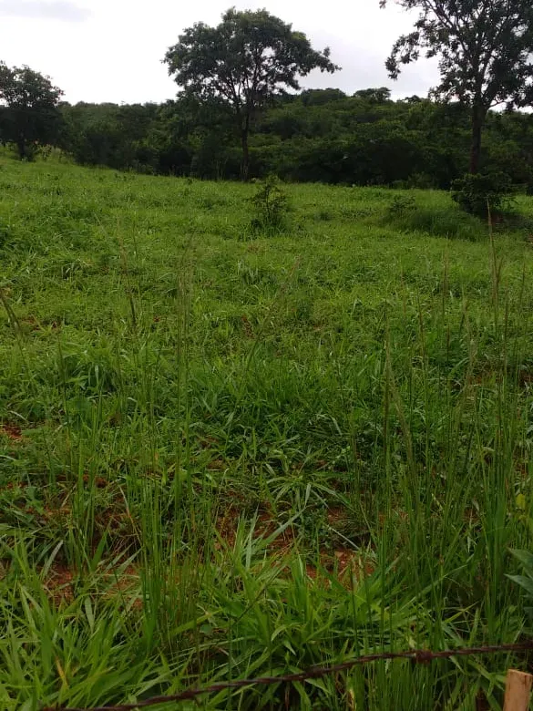 Fazenda em Bom Sucesso/Minas Gerais — Ref OMBOHS — Imagem 22