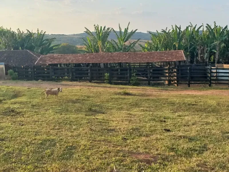 Fazenda em Bom Sucesso/Minas Gerais — Ref OMBOHS — Imagem 20