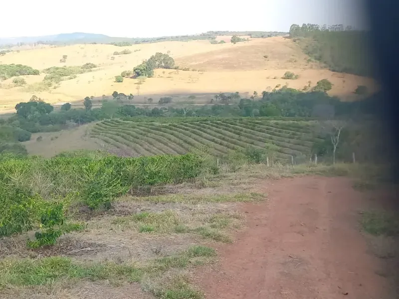 Fazenda em Bom Sucesso/Minas Gerais — Ref OMBOHS — Imagem 13