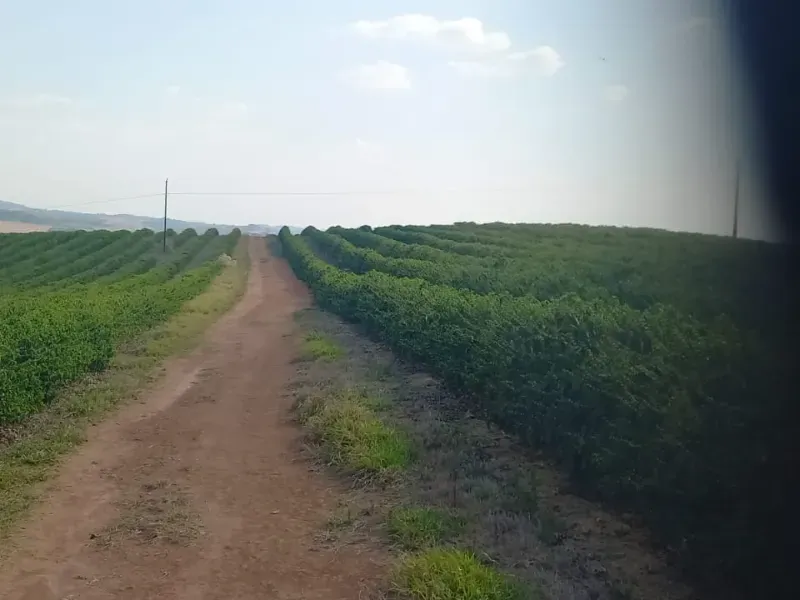 Fazenda em Bom Sucesso/Minas Gerais — Ref OMBOHS — Imagem 12