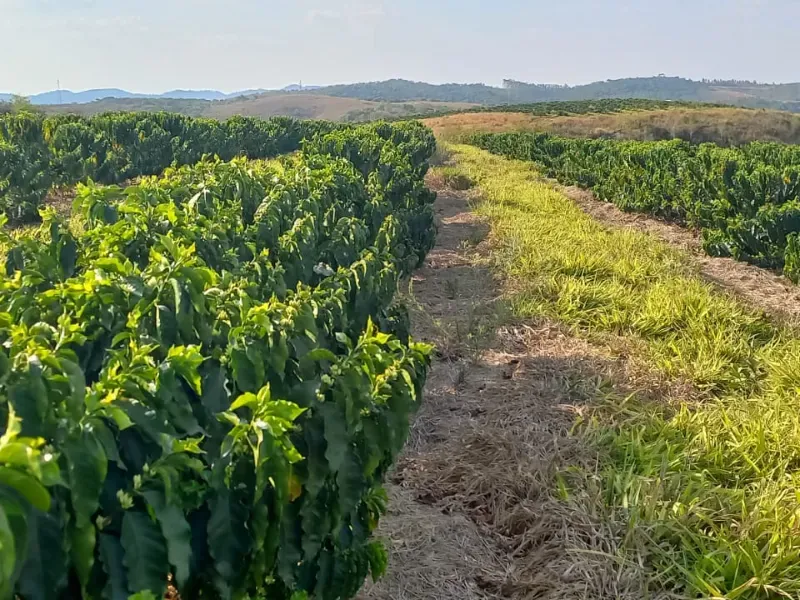 Fazenda em Bom Sucesso/Minas Gerais — Ref OMBOHS — Imagem 8