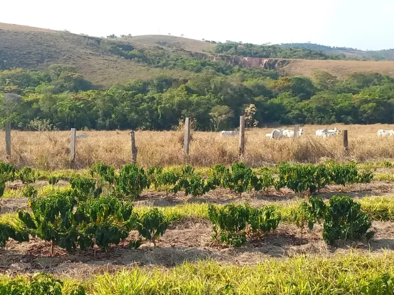 Fazenda em Bom Sucesso/Minas Gerais — Ref OMBOHS — Imagem 7