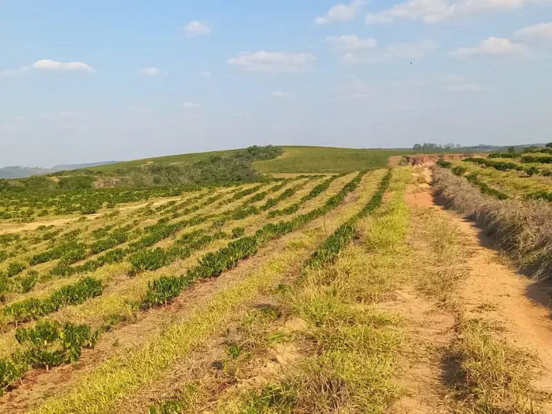 Fazenda em Bom Sucesso/Minas Gerais — Ref OMBOHS — Imagem 2
