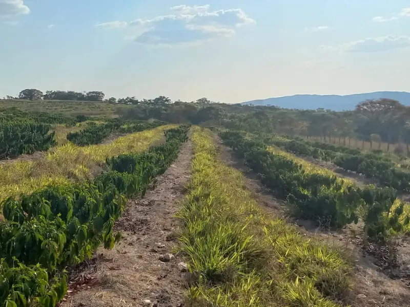Fazenda em Bom Sucesso/Minas Gerais — Ref OMBOHS — Imagem 10
