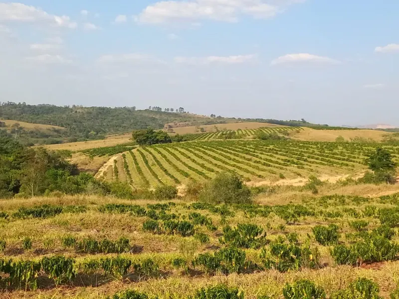 Imóvel rural em Bom Sucesso/Minas Gerais — Ref OMBOHS1