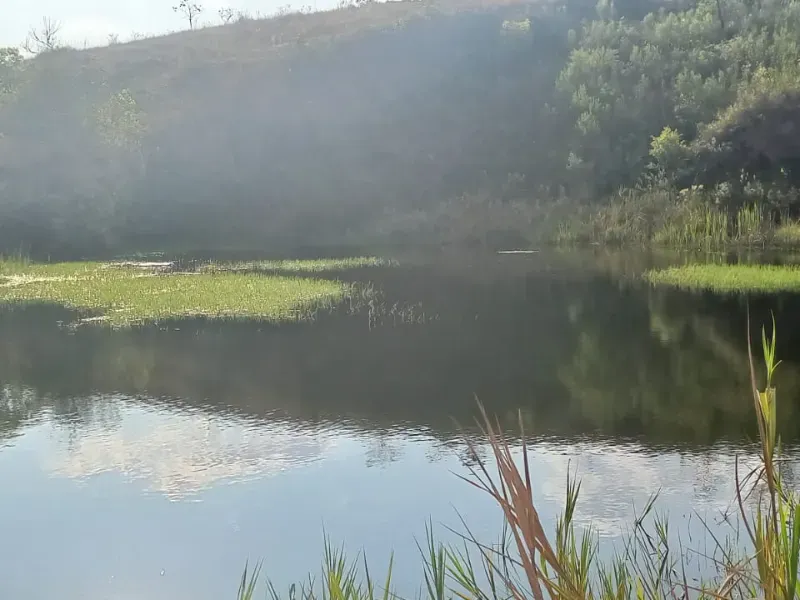 Fazenda em Bom Sucesso/Minas Gerais — Ref OMBOHS — Imagem 16