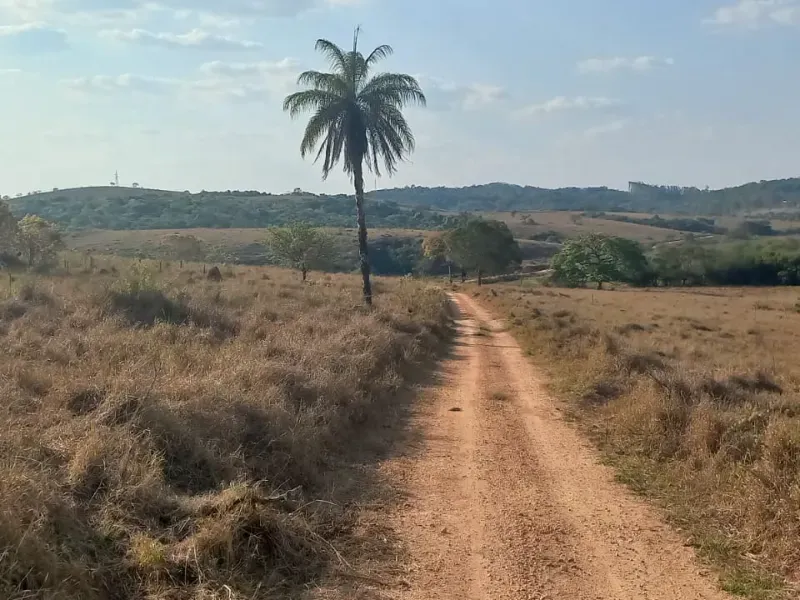 Fazenda em Bom Sucesso/Minas Gerais — Ref OMBOHS — Imagem 14