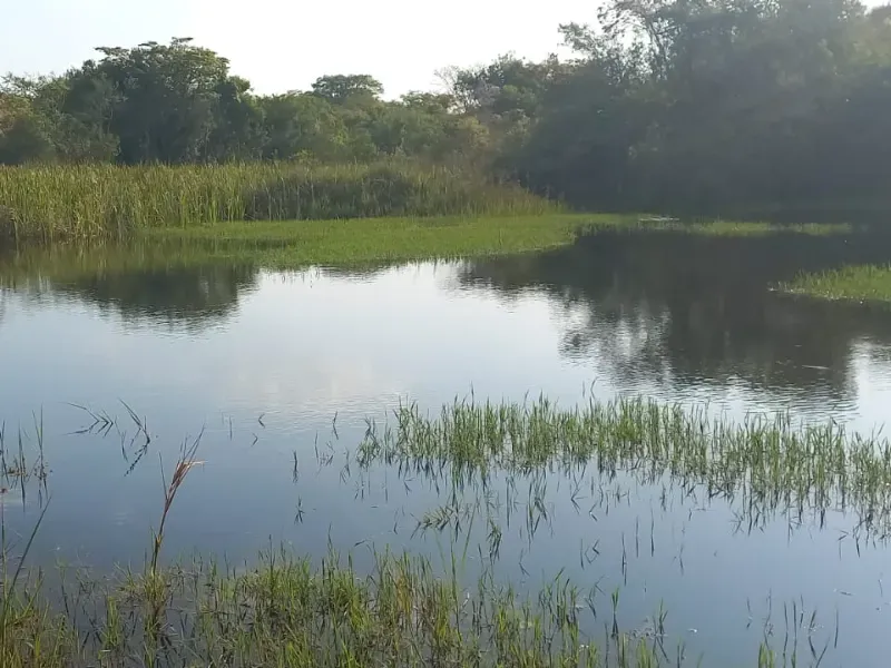 Fazenda em Bom Sucesso/Minas Gerais — Ref OMBOHS — Imagem 17