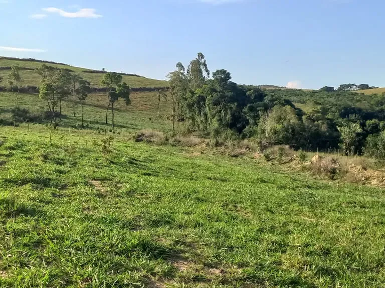 Fazenda em Itaguara/Minas Gerais — Ref V4RGS6 — Imagem 3