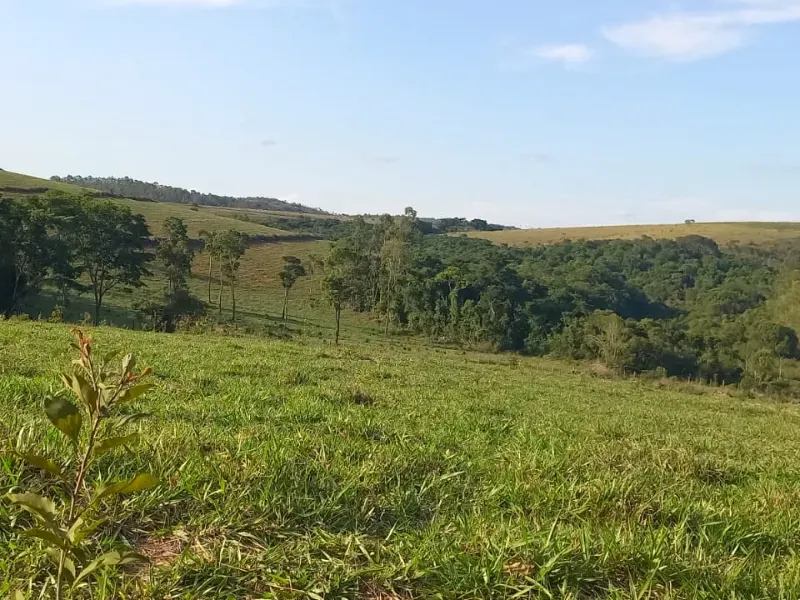 Fazenda em Itaguara/Minas Gerais — Ref V4RGS6 — Imagem 4