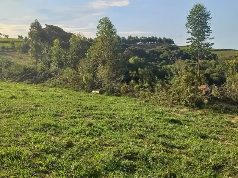 Fazenda em Itaguara/Minas Gerais — Ref V4RGS6 — Imagem 5